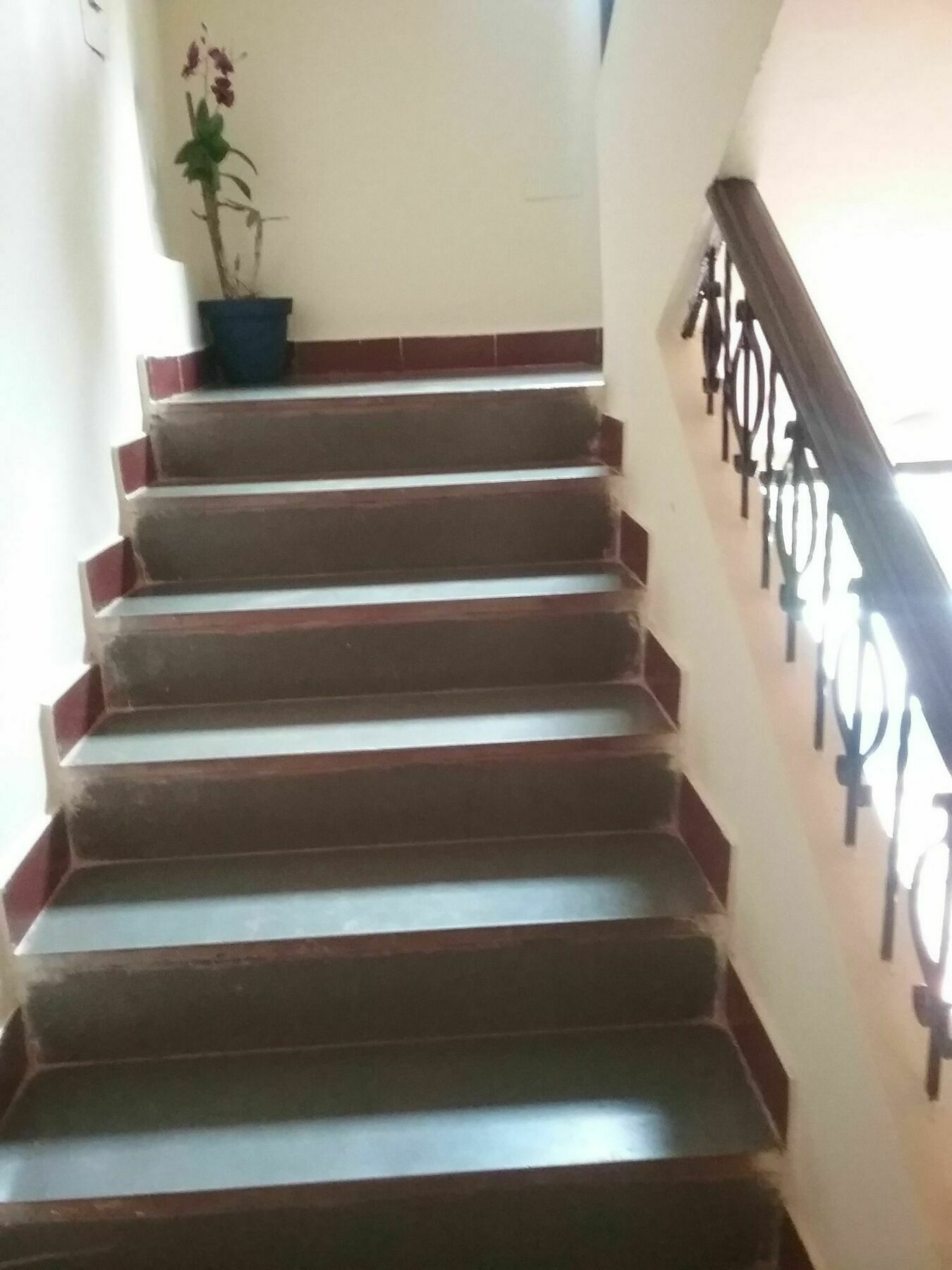Hotel Baga Villa Bnb Saligao Zewnętrze zdjęcie